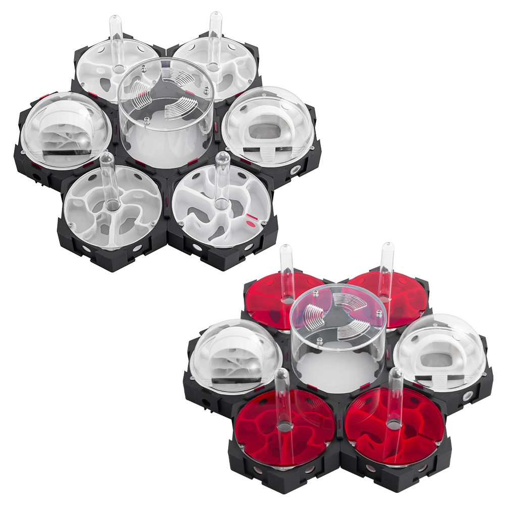 3D Printing Ant Nest Infinitel - Begonia Rex review and price