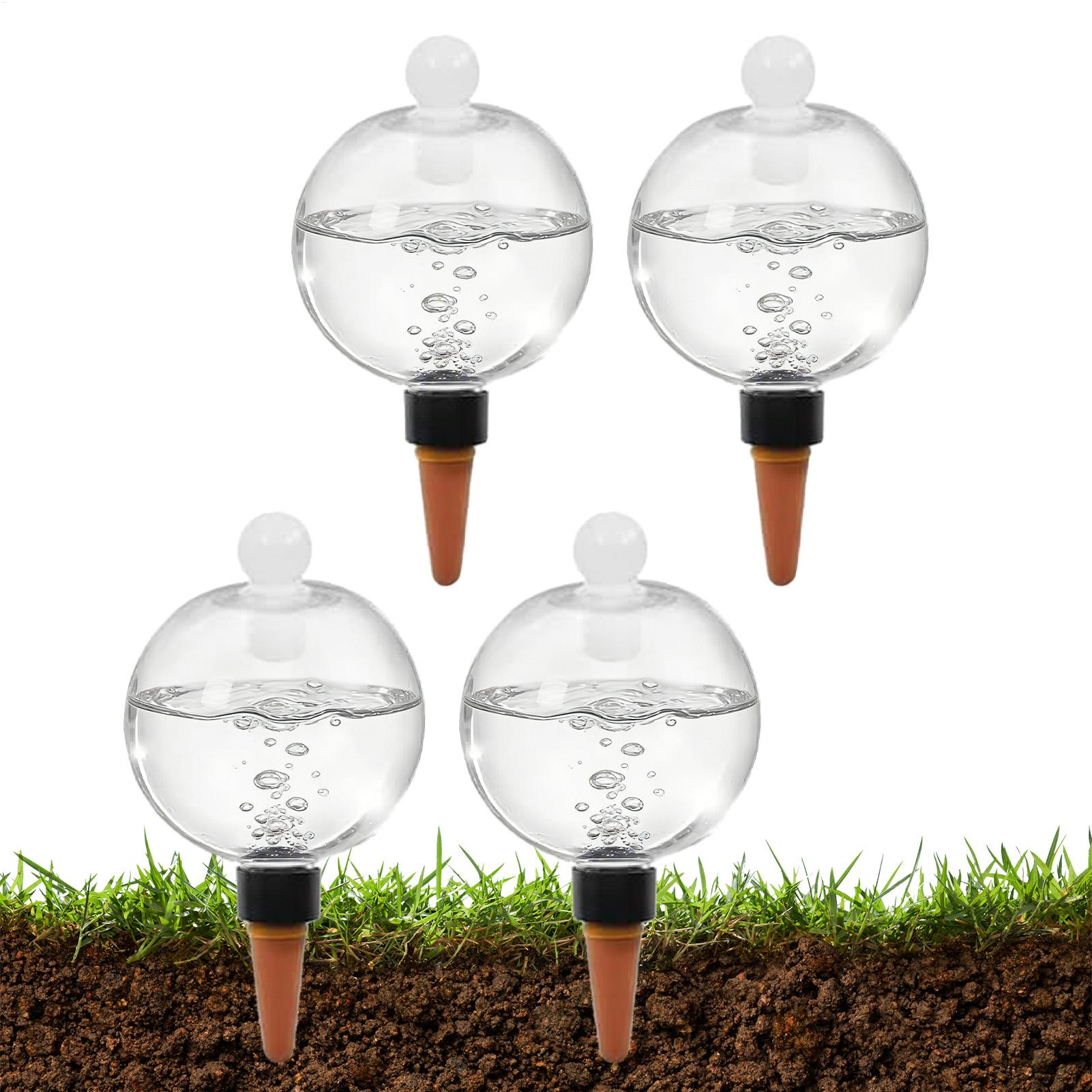Plant Watering Bulbs 4pcs 500m - Echeveria Succulent review and price